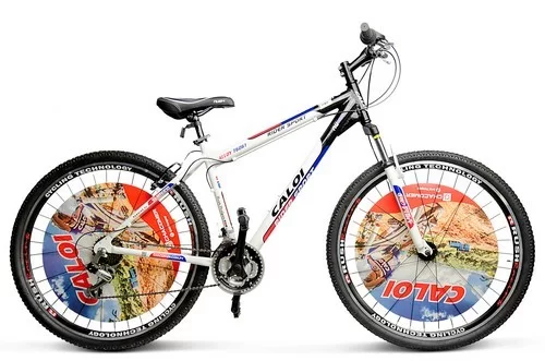 Bicicleta rider 2025 sport 29